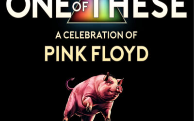 ONE OF THESE  Pink Floyd Tributes